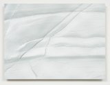 Elizabeth Thomson, Mahia I, 2016, nylon fibre, cast vinyl film, lacquer on contoured and shaped wooden panel. 755 x 1000 x 50 mm Photo: Sam Hartnett