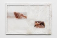 Aude Pariset, Green Nuclear Family no 2, 2016 Bioplastic, UV prints on bioplastic, mealworm skin, Lexomil, wood, paint 60 x 90 cm. Photography: Mariell Amélie © Aude Pariset & Cell Project 