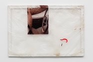 Aude Pariset, Mother Cougar, 2016, Bioplastic, UV print on bioplastic, mealworms,  fish bait, mealworm skin, wood, paint 60 x 90 cm