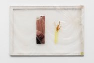 Aude Pariset, Flower Maiden (Ecoveg), 2016  Bioplastic, UV print on bioplastic, laser transfer print, condom, seaweed, wood, paint 60 x 90 cm. Photography: Mariell Amélie © Aude Pariset & Cell Project Space  