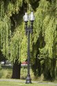 Lamppost from Boston, USA. Image courtesy of SCAPE