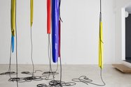 Helen Calder, Tyrant, hero, adventuer, hedonist, lover, poet, speaker, historian, teacher, philosopher, collector, ruler, 2016, water-based enamel paint, silicone tube, dimensions variable. Photo: Sam Hartnett