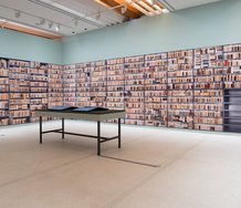 Installation of Ann Shelton's A Library to Scale (2006) at Auckland Art Gallery Toi o Tamaki 