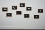 Ruth Watson, Transient Global Amnesia (2017). Series of 9 photographic prints, framed. Photograph: Sam Hartnett and Gus Fisher Gallery, University of Auckland.
