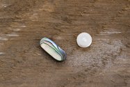 John Ward Knox, Habits (iv), 2017, paua shell and pearl, 1.6 cm x 0.8 cm wide each