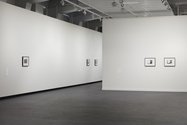 The installation of John Stezaker's Lost World at City Gallery Wellington, 2017. 