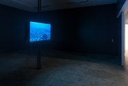 Nicholas Mangan, Limits to Growth  (2016-2017) [detail].  14 TerraHash Antminer bitcoin mining rig (offsite), two single-channel HD colour videos with sound (2mins 29secs and 3mins 5 secs), digital prints, archival image. Collection of the AGNSW.
