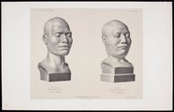 Atlas. Anthropologie. Plate 13, ink on paper lithograph taken from daguerreotypes by Bisson of plaster casts of life masks made during Dumont d’Urville’s visit to Otago in 1840, Alexander Turnbull Library, National Library of New Zealand