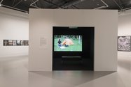 Gavin Hipkins' installation of his film, This Fine Island, 2012, within The Domain at The Dowse Art Museum.