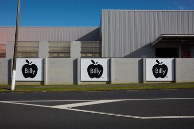 Billy Apple®, Trademark Registration, a Te Tuhi billboard project on Reeves Rd. Photo: Sam Hartnett