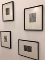 Gordon Walters: Photographs, as installed at Gus Fisher.