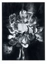 Vivian Lynn, Babel, 1970, etching, engraving and aquatint, 1/20, 410 x 420 mm