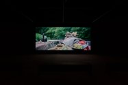 John Akomfrah, Tropikos, 2016, single channel colour video, 36 mins, 41 secs. Courtesy Smoking Dogs films and Lisson Gallery. Photo: Sam Hartnett