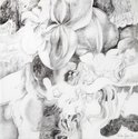 Vivian Lynn, untitled (Wounded Garden series), 1984, graphite, frottage on Canson tracing paper, 1060 x 1000 mm