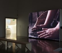 Lisa Reihana, Native Portraits, 1999, as installed at Te Uru. Photo: Sam Hartnett