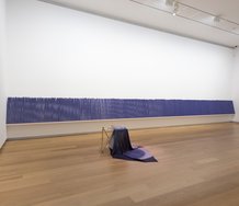 Dane Mitchell, Iris, Iris, Iris, 2017, (installation view), Auckland Art Gallery Toi o Tāmaki, 2018