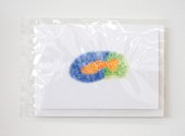 Nick Austin. Fish Details, 2018, printed card, 160 x 120 mm each