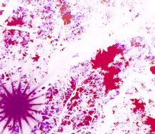 Gavin Hipkins, The Valley (2019), digital video still, 14 minutes.Image courtesy of the artist and Starkwhite. 