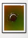 Justine Varga, Cerebration, 2016, chromogenic photograph, 110.5 x 91.5 cm framed.Photo: Sam Hartnett 