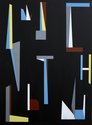 Tony de Lautour, Initial Inventory, 2019, acrylic on canvas, 1015 x 760 mm