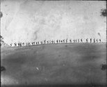 Charles Cecil Roberts, Auckland Tramping Club Members Along the Top of a Sand Dune, early 1930s. 