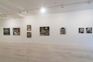 Installation of Toby Raine's Heroines and Heroin at Gow Langsford / Kitchener St