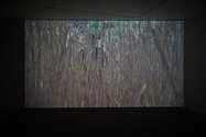 Ane Hjort Guttu and Daiske Kosugi, The Lost Dreams of Naoki Hayakawa, 2016. 16 mm scanned to HD video, 25 minutes . Photo; Sam Hartnett