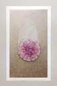 Denise Batchelor, Mawhero: Pink 2, 2020, metallic gloss print. 80 x 45 cm. Photo: Arekahānara 