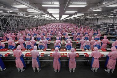 Edward Burtynsky, Manufacturing #17, Deda Chicken Processing Plant, Dehui City, Jilin Province, China, 2005
