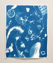Xin Cheng & Eleanor Cooper, Flora of the Future I, 2020, Cyanotype on Lanaquarelle Hahnemühle, 64 x 57 cm.  Photo: Arekahānara