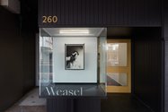Installation shot of Harry McAlpine's Siloed at Weasel. Photo: Mark Hamilton