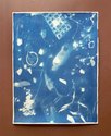 Xin Cheng & Eleanor Cooper,  Flora of the Future II, 2020, Cyanotype on Fabriano Tiepolo,  79 x 71 cm. Photo: Arekahānara