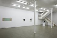 Slippery Painting, installation view, Starkwhite, 2020 