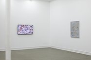 Slippery Painting, installation view, Starkwhite, 2020 