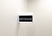 Elisabeth Pointon, SPECTACULAR., 2020, illuminated LED sign, 360 x 230 x 70 mm