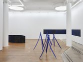 Installation of Pauline Rhodes and Richard Frater's show, Bluets, at Michael Lett.