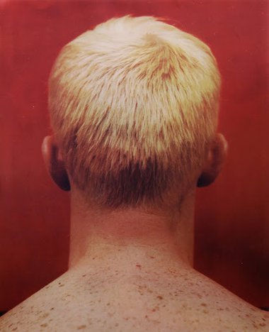 Back cover. Image is part of Self Portraits (Apple Sees Red On Green), 1962, lithograph on canvas, Tate Collection.
