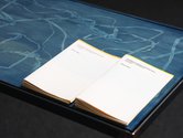 Eleanor Cooper: Strands of invasive eelgrass amass in the shadows, 2021, cyantype, plywood, gesso, steel, glass; The Enigmas of a Suburban Lake & Other Stories, 2020, printed booklet, text by Eleanor Cooper, design by Xin Cheng--commissioned by Te Tuhi. 