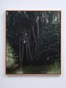 Grant Nimmo, Trees, 2021, oil on linen, 1150 x 1000mm (framed)