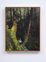 Grant Nimmo, Song of the forest, 2021, oil on linen, 745 x 595mm (framed)