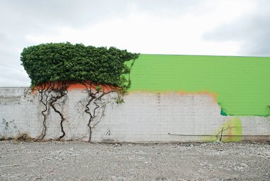 Madeleine Slavick, 'Supermarket and Tree', from the 'Family Tree Whakapapa' series, 2020
