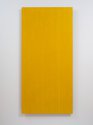 Noel Ivanoff, Digit Painting--mid green over yellow, 2022, oil on plywood panel, 1680 x 812 mm. Photo: Sam Hartnett