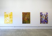 Installation of Sarah Smuts-Kenndy's exhibition 'Leaning into the Shine' at Laree Payne Gallery.