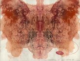 Julia Morison, Centrefold 15, 2000, ‘Dragon’s blood’ ink and pastel on bible paper, 175 x 230mm, framed 320 x 365mm