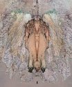 Julia Morison, Angel/Fly, Print - Raiment, 2002, unlimited digital print, 120 x 100 mm