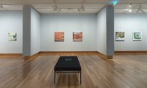 Barbara Tuck: Delirium Crossing (installation view), Christchurch Art Gallery Te Puna o Waiwhetū, 2022-23. This exhibition has been developed as a partnership between Anna Miles Gallery, Ramp Gallery and Te Pātaka Toi Adam Art Gallery.