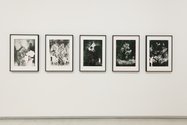 Brent Harris, The Other Side #1-5, 2016, photopolymer gravure with screenprints, Auckland Art Gallery Toi o Tāmaki, gift of Patricia Mason and Paul Walker, 2019, © the artist