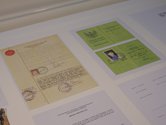 Detail of governmental family documents in vitrine in Rozana Lee's Sekali pendatang, tetap pendatang exhibition at Te Uru.