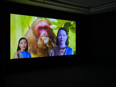 Lynn Hershman Leeson, Logic Paralyzes the Heart, 2021, (installation view, Te Tuhi, 2023) single channel video, wallpaper, photo by Samuel Hartnett