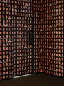 Lynn Hershman Leeson, Logic Paralyzes the Heart, 2021, (installation view, Te Tuhi, 2023) single channel video, wallpaper, photo by Samuel Hartnett